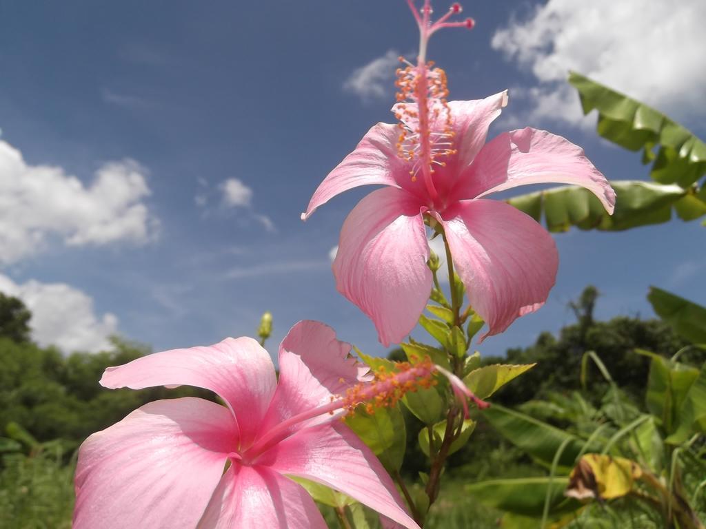 Yoisama Sunrise Beach House Ishigaki  Eksteriør bilde