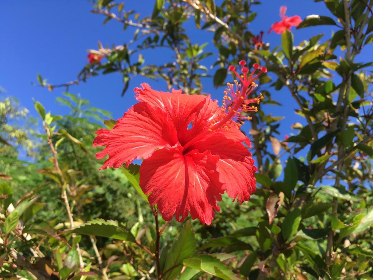 Yoisama Sunrise Beach House Ishigaki  Eksteriør bilde